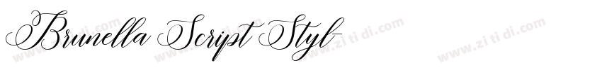 Brunella Script Styl字体转换